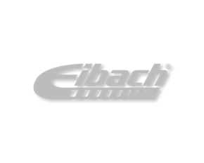 Eibach Diecut Decal Silver 1x4"