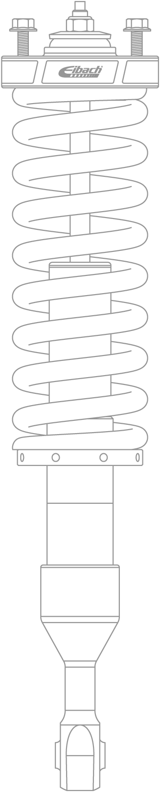 Eibach Pro-Truck Coilover 2.0 drawing